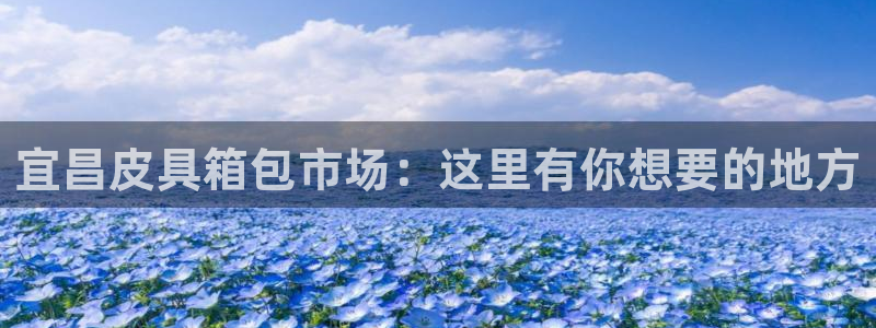 琳琅社区综艺文化娱乐