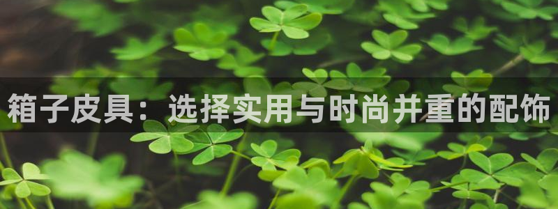 琳琅游戏娱乐