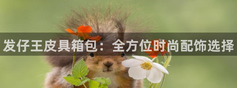 琳琅科技娱乐QQ机器人