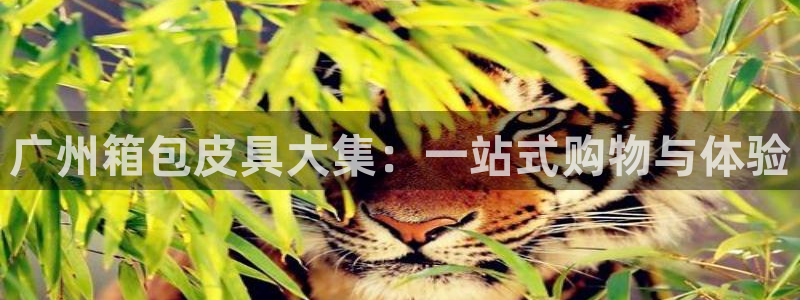 琳琅科技娱乐