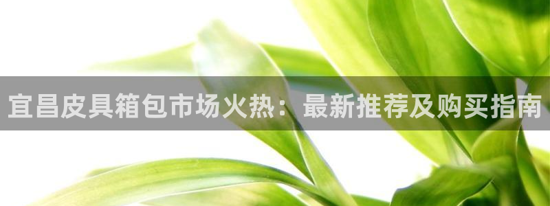 琅琳琅娱乐舍区