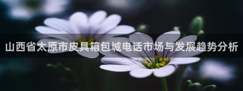 琳琅娱乐工作室