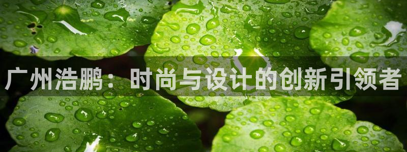 琳琅娱乐平台登陆
