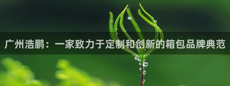 琳琅娱乐工作室招聘条件