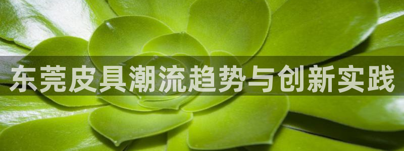 琳琅娱乐在线观看