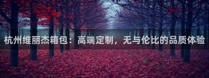 琳琅社区综艺文化娱乐