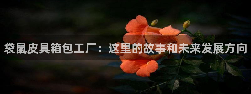 琳琅聊娱乐