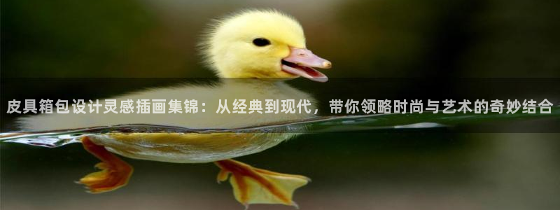 琳琅说娱乐