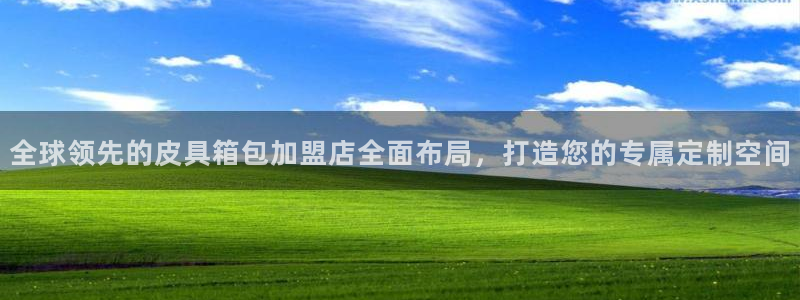 琳琅科技娱乐机器人