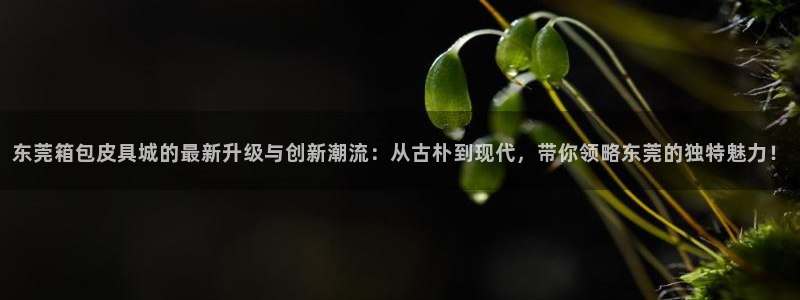 琳琅娱乐注册登录