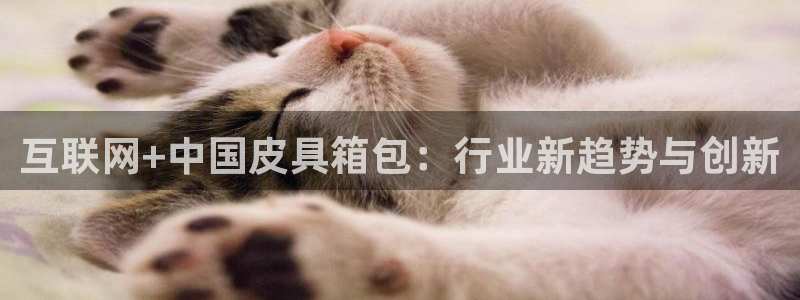 琳琅娱乐代理人是谁