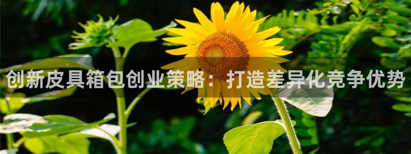 琳琅科技娱乐qq机器人词库