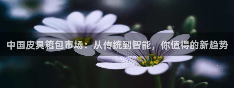 杭州琳琅互动娱乐
