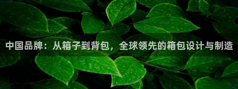 琳琅娱乐工作室地址