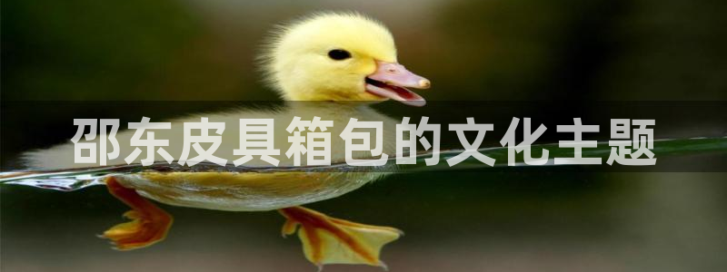 琳琅说娱乐