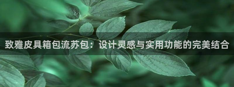 琳琅娱乐 全麦优质