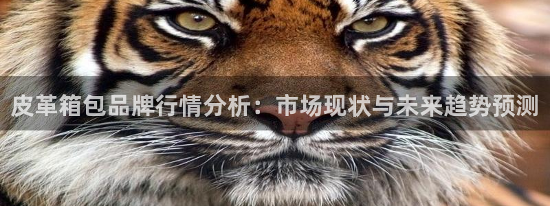 琳琅科技qq娱乐机器人