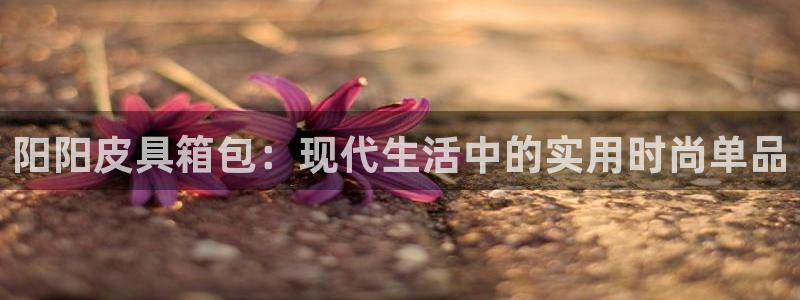 琳琅QQ娱乐机器人