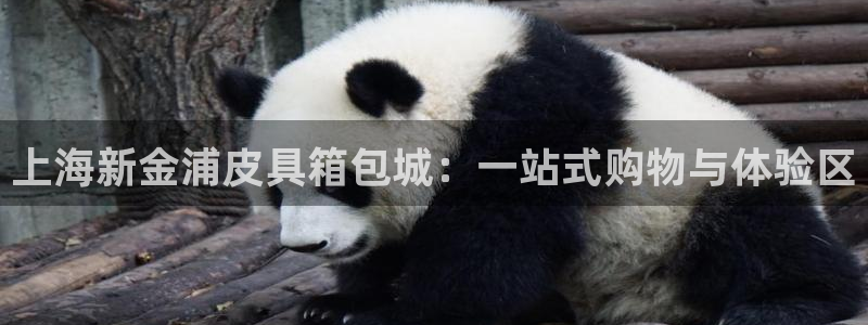 琳琅娱乐工作室招聘条件