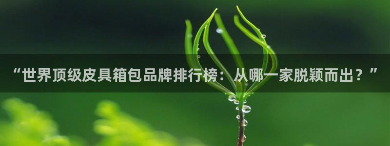 琳琅娱乐工作室地址查询
