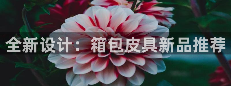 琳琅娱乐开户