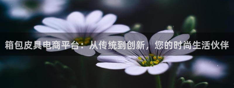 琳琅娱乐工作室地址查询
