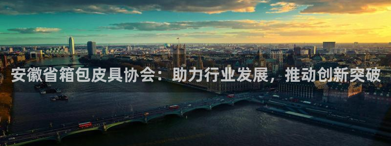 琳琅科技娱乐机器人