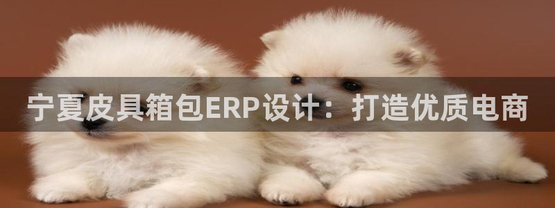 琳琅娱乐直播