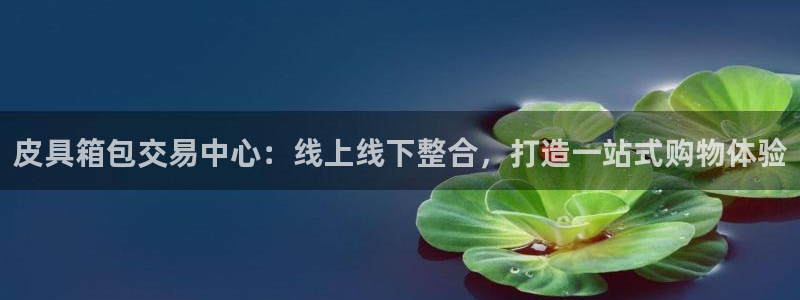 琳琅科技娱乐