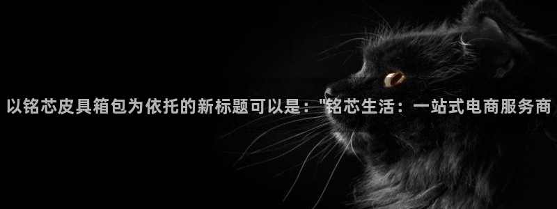 琳琅科技娱乐机器人教程