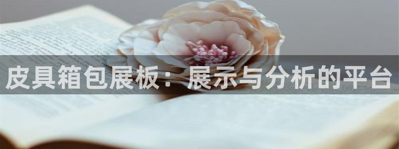 琳琅娱乐园