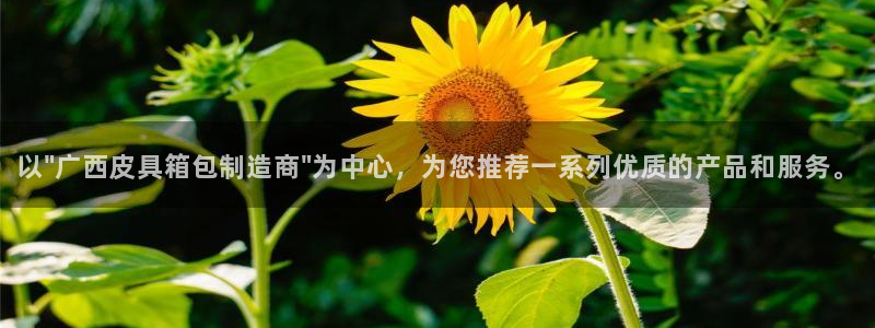 琳琅娱乐代理