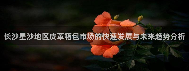 琳琅科技qq娱乐机器人