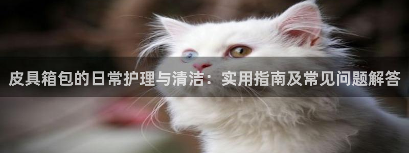 琳琅科技娱乐QQ机器人