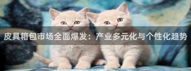 琳琅科技娱乐机器