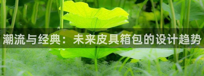 琳琅娱乐工作室地址查询
