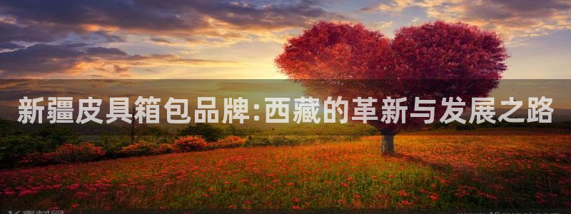 琳琅娱乐工作室地址查询