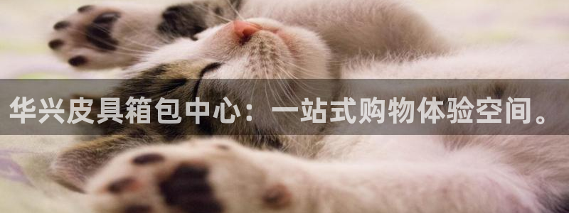 琳琅娱乐八卦