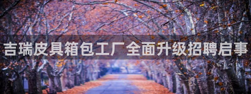 琳琅娱乐成年女人视频