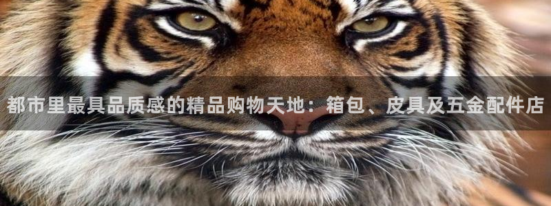 琳琅娱乐工作室招聘条件