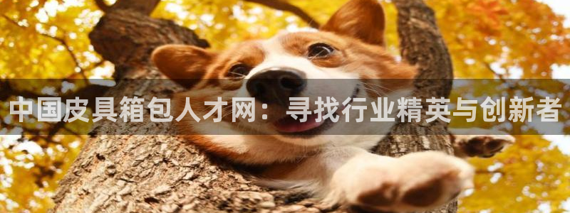 琳琅科技娱乐机器人