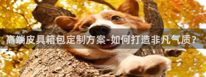 琳琅娱乐代理怎么做
