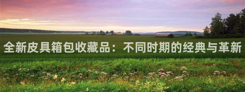 娱乐从琳琅榜开始的小说
