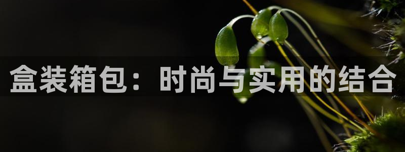 琳琅娱乐琳琅平台