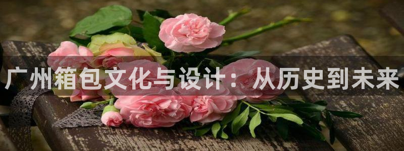 琳琅娱乐工作室怎么样