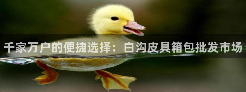 琳琅科技娱乐机器人