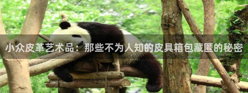 琳琅娱乐平台帐7O777