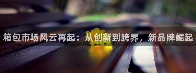 琳琅娱乐组飞车