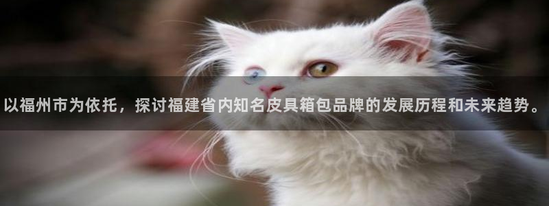 琳琅科技娱乐机器