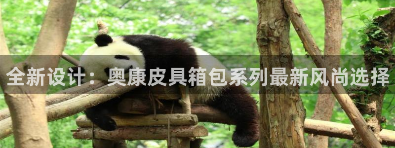 琳琅娱乐平台是真的吗